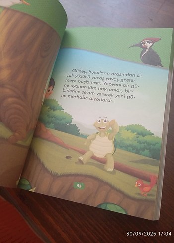 Beden Renk Çocuk kitabı Masal Sepeti