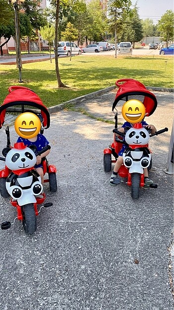 Kırmızı panda bisiklet