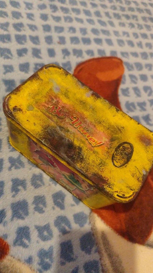 Vintage Sarı Dekoratif teneke Kutusu - Görsel 2