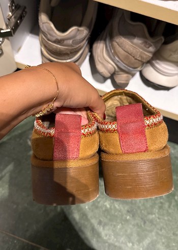 Ugg terlik