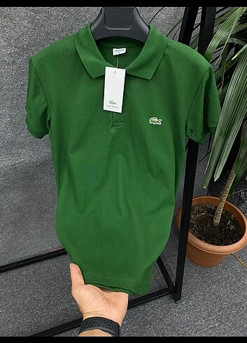 Yeşil Poloyaka Lacoste t-shirt 