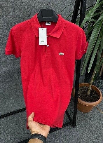 Kırmızı poloyaka Lacoste t-shirt 