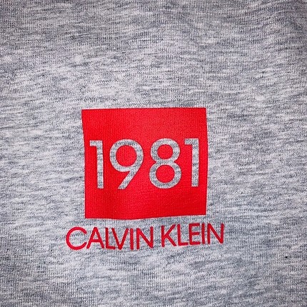 m Beden gri Renk Calvin Klein Kadın 1981 Bold Sweatshirt