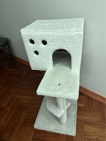  Kedi yuvası