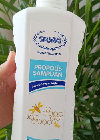 Diger Propolis Şampuan Normal-Kuru Saçlar