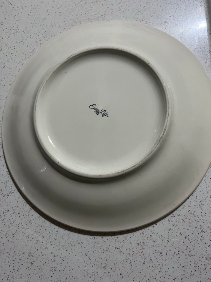 Desenli Çok Renkli Seramik Tabak - Görsel 3