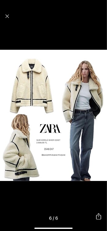Zar teddy bear mont