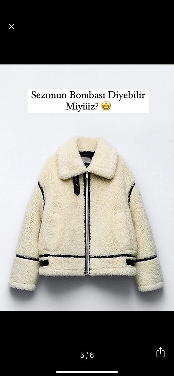 Diğer Zar teddy bear mont