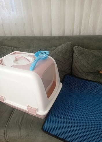 Kedi tuvaleti ve paspas