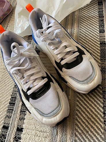 Puma erkek