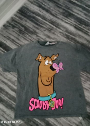 Scooby Doo Baskılı Erkek Çocuk Tişörtü