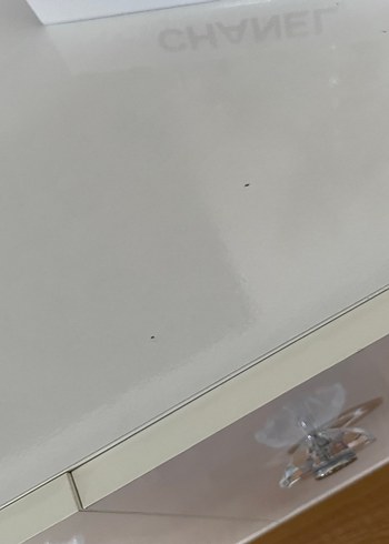 Beden mor Renk Koyu Mor Oturma Odası Dekorasyonu