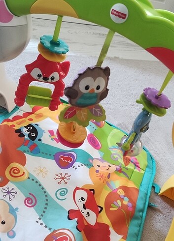 Beden Renk Eğitici oyuncak fisher price