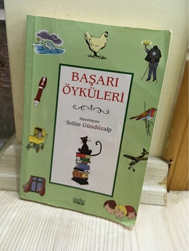 Başarı öyküleri