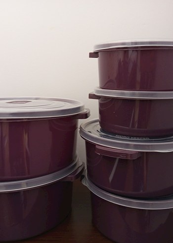  Beden Mor Plastik Saklama Kapları Seti