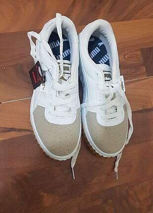 Puma cali