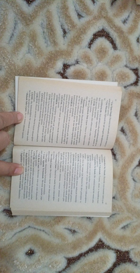 Rüya Yorumları Ansiklopedisi Kitap - Görsel 2