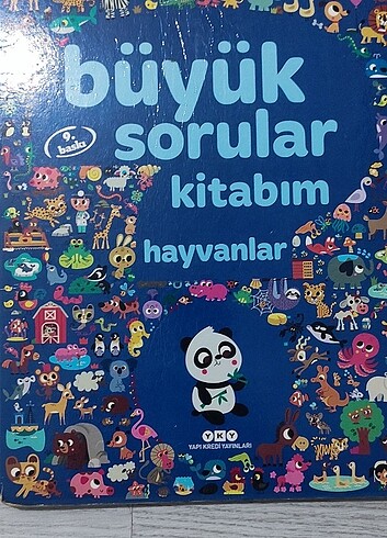 Beden Renk Soru kitabı
