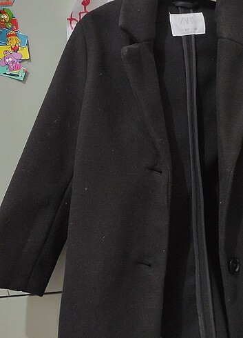 Siyah kaban - Görsel 3