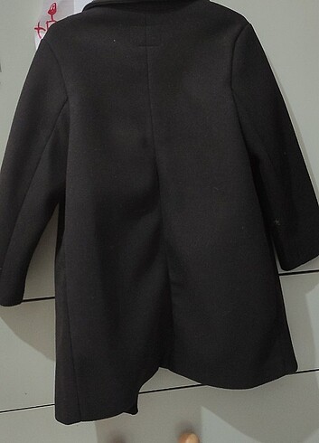 Siyah kaban - Görsel 4