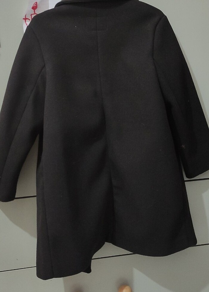 Siyah kaban - Görsel 4