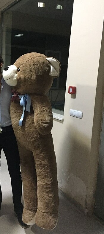 Beden Renk Dev 2metre peluş ayıcık