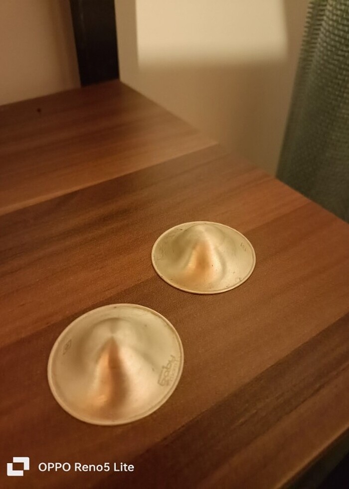 Koruyucu Gümüş Göğüs Kapakları - Görsel 3