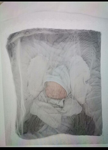 Diğer Beden Doona bebek arabası seti