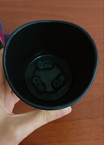 Kaktüs saksısı - Görsel 2