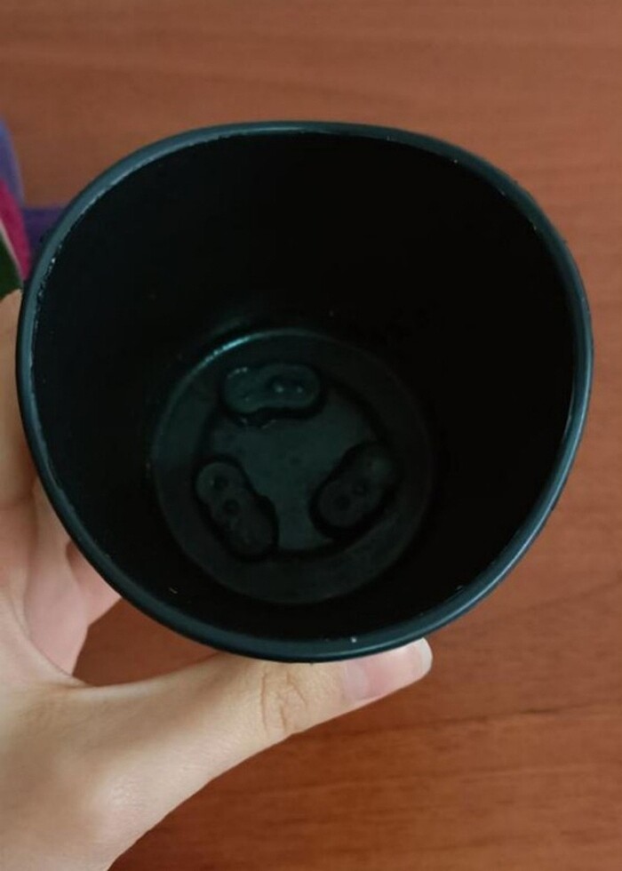 Kaktüs saksısı  - Görsel 2