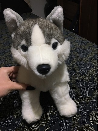 Peluş köpek