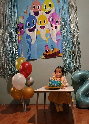  Beden Renk Babyshark konsepti 