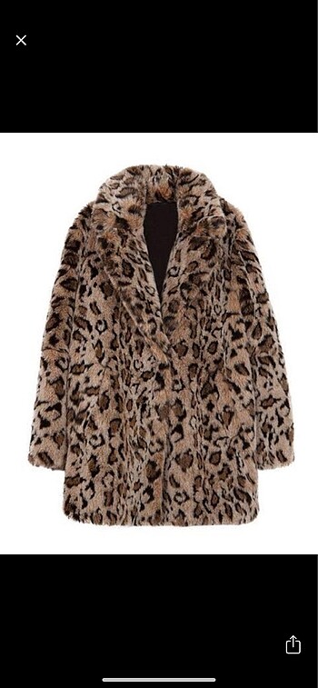 Leopar aşkına
