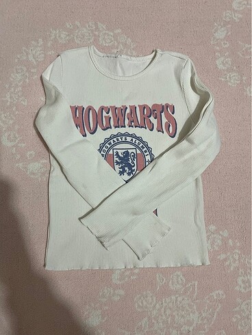 Uzun kollu t-shirt