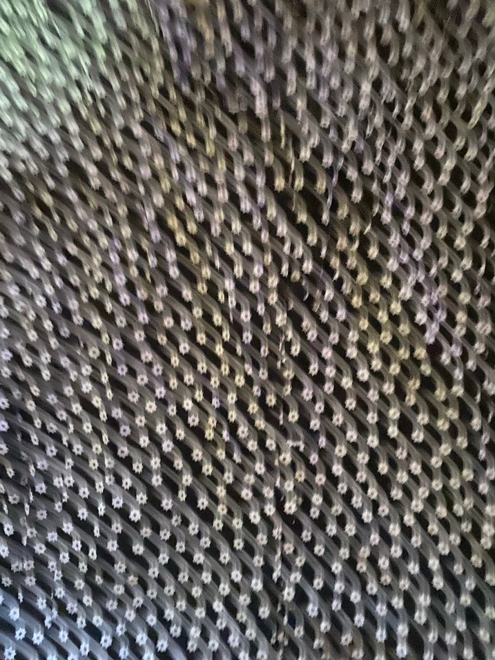 Siyah Puantiyeli Kadın Bluz - Görsel 4