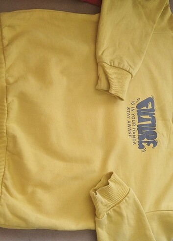 6 Yaş Beden çeşitli Renk Sweatshirt