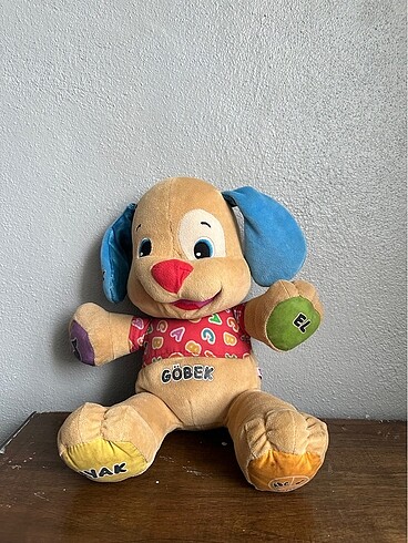 Eğitici köpek