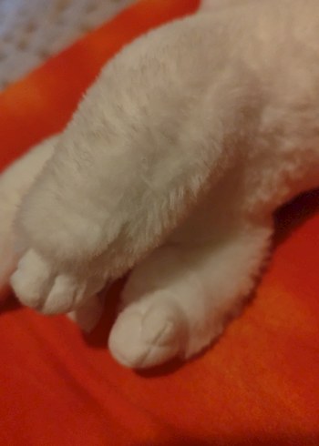 Beyaz Peluş Oyuncak Kedi pilli çalışıyor - Görsel 4