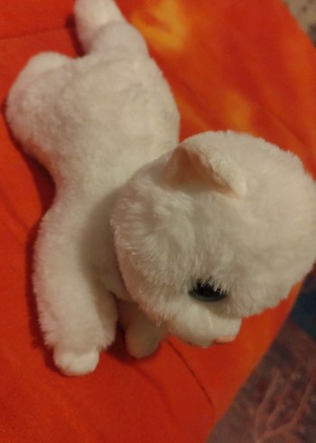 Beyaz Peluş Oyuncak Kedi pilli çalışıyor - Görsel 6