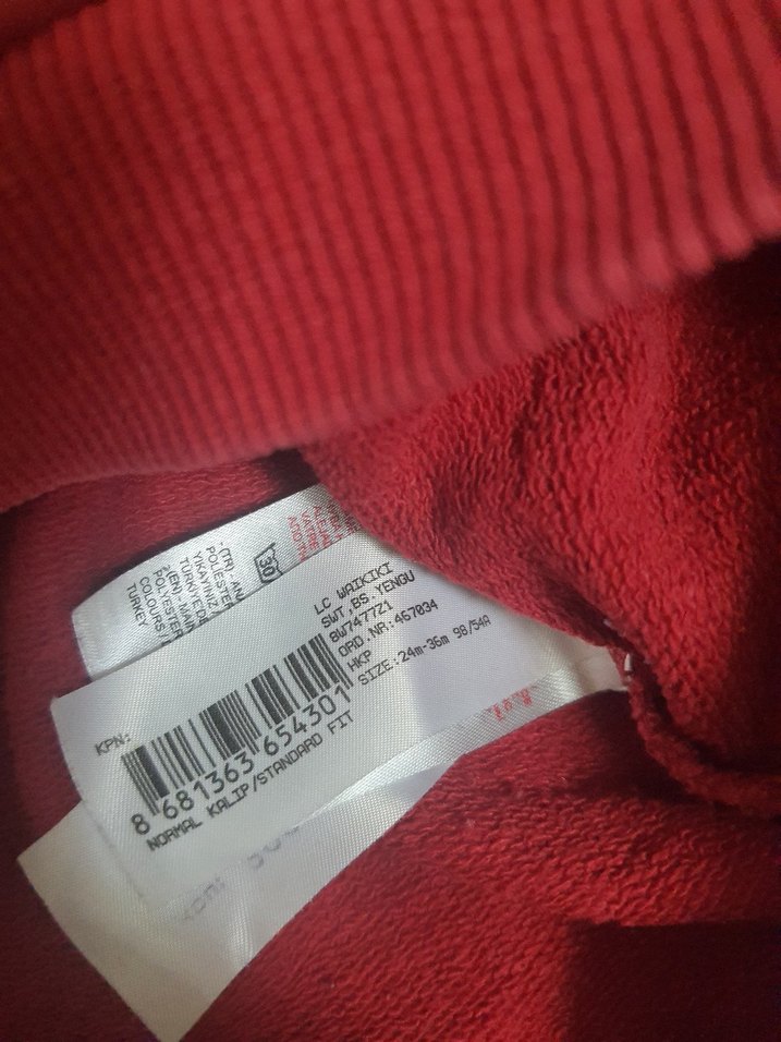 Erkek Çocuk Kırmızı Baskılı Sweatshirt - Görsel 2