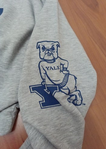 Mavi marka Gri Yale Baskılı Kadın Sweatshirt - Görsel 2