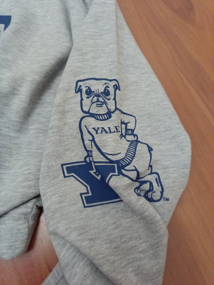 Mavi marka Gri Yale Baskılı Kadın Sweatshirt - Görsel 2