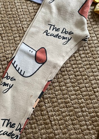 2 takım 3 yaş - Görsel 3