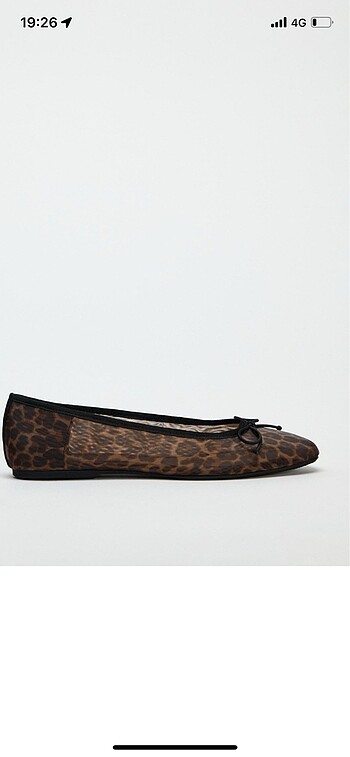 Zara Leopar babet