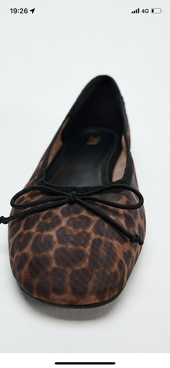 40 Beden Leopar babet