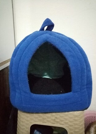 Kedi evi