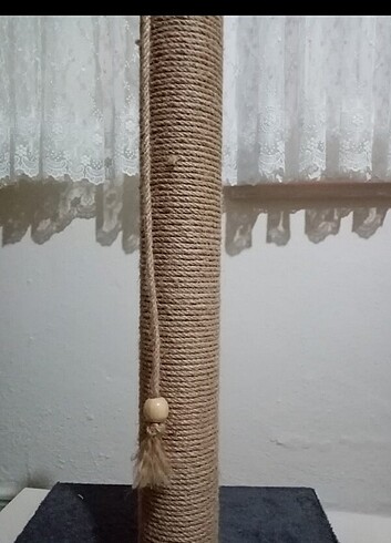  Kedi Tırmalama tahtası 