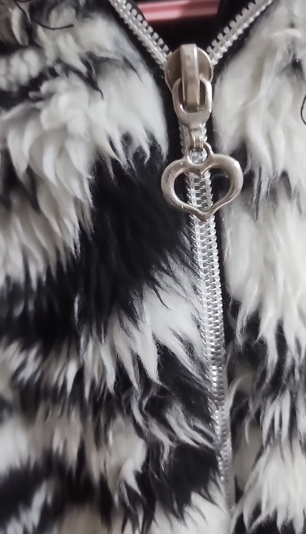 Kız Çocuk Zebra Desenli Kapüşonlu Ceket - Görsel 3