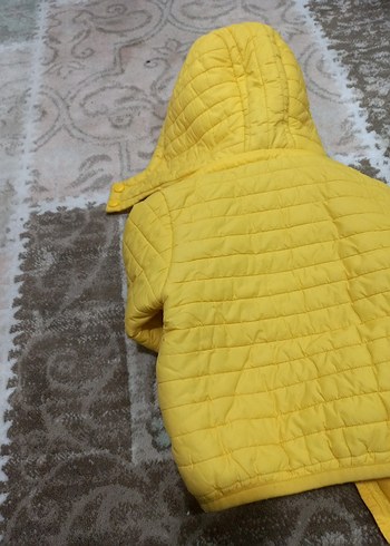 Sarı Kapüşonlu Erkek Çocuk Mont - Görsel 6