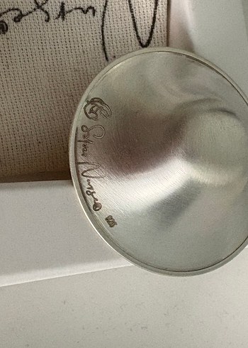 Koruyucu Gümüş Göğüs Kapakları - Görsel 4